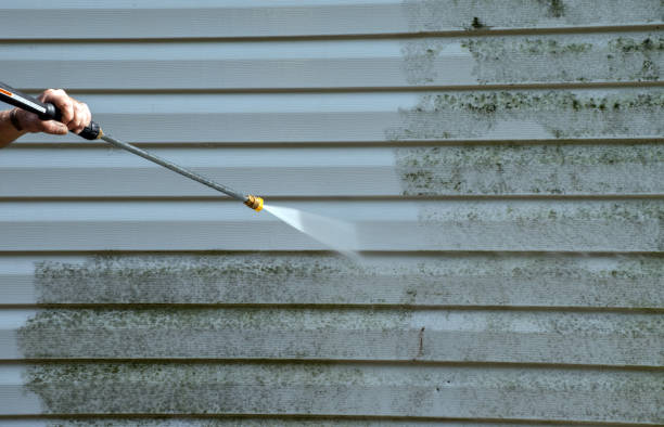 Best Commercial Mold Remediation in Monroe, OH